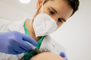 Zabieg mezoterapii kapilarnej w Murcji u dr Domíngueza